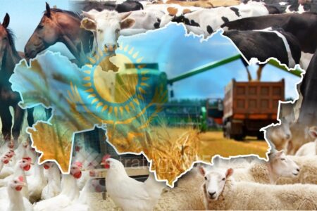 Асыраушы саланың дамуы – азық-түлік қауіпсіздігінің кепілі