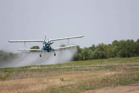 КЕЛЕСТЕ МАРОККО ШЕГІРТКЕСІНЕ ҚАРСЫ КҮРЕС ЖҰМЫСТАРЫ ПЫСЫҚТАЛДЫ