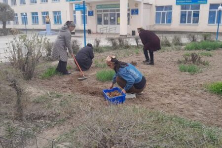 СЕНБІЛІК ЖҰМЫСТАРЫ  ЖАЛҒАСЫП ЖАТЫР