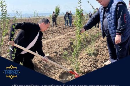 «Таза Қазақстан» акциясы аясында бүгін «Қызылабад» тұрғын алқабына 5 мың ағаш отырғызылды.